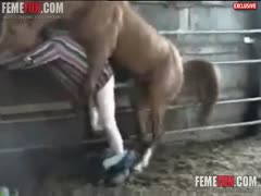 In these crazy zoophilia episodes captured on video, a man is penetrated by a horse.
